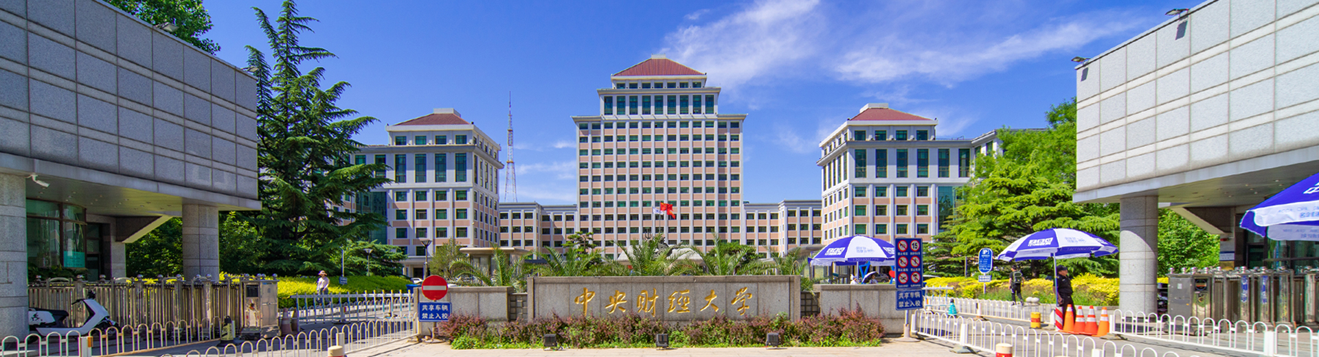 George's Grading & Septic Tank Service, LLC — photo 6